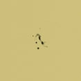 thumbnail image 1 of Hatcp - Awrythmics - Music & Performance - Vinyl, 1 of 1