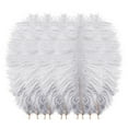 thumbnail image 1 of Awwp 10 Pack Multicolor Ostrich Feathers 20-25cm for Wedding Backdrop Decor, DIY Party Centerpieces, Bulk Plumage for Crafts and Home Decoration, 7.8-9.8 Inch, 1 of 2