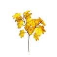 thumbnail image 1 of Awwp Artificial Fall Flowers, Fake Maple Leaves 15x7.3 Inch, Thanksgiving Halloween Decor with Color Gradient, Autumn Faux Plants Decor for Home Wall Fireplace, Fall Decor, 1 of 5