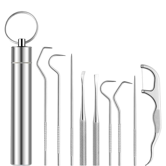 Promotion! Awwp Dental Floss Picks 9 Pcs Stainless Teeth Cleaning Tool Set 2024 New Reusable Toothpick Set with Storage Box Metal Toothpicks Calculus Oral Care Cleaning Tools for Home and Traveling