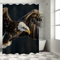 thumbnail image 1 of Awypu Shower Curtain Brown and White Flying Bald Eagle Picture Waterproof Multiple Sizes White, 1 of 7