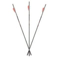 thumbnail image 1 of Axe Crossbows 19" Bolts - 6-Pack, 1 of 2