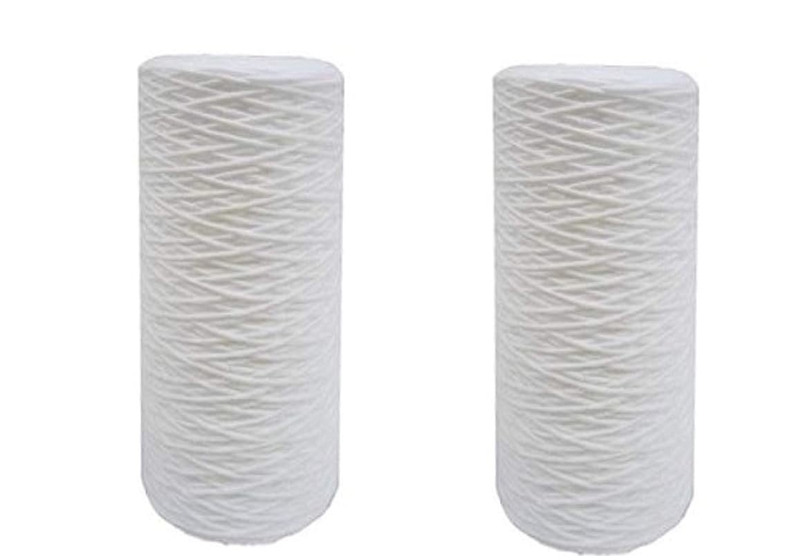 CFS  2 Pack String-Wound Polypropylene Water Filter Cartridges Compatible with WP.5BB97P Models  Removes Bad Taste and odor  Whole House Replacement Filter Cartridge  0.5 Micron  10" x 4.5"