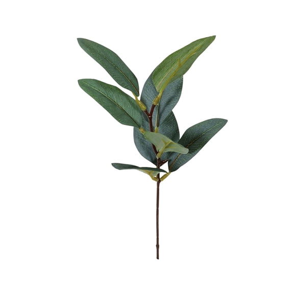Aximioll 11.02 x 5.9 in 1-Piece Artificial Green Ruscus Vine Branch Pick, Crisp Green Ruscus Leaves on a Slender Brown Stem, Tabletop Greenery Stem for Vases and Home Displays