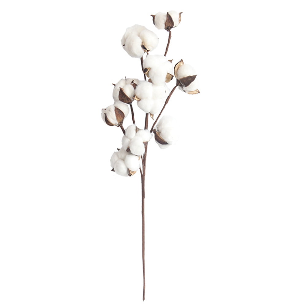 Axio 10 Heads Dried Cotton Stems Farmhouse Style Artificial Flower