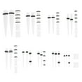 Axio 48pcs Gauges Kit Ear Stretching Set 14G00G Acrylic Taper Plug