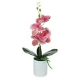 Axio Artificial Potted Flower Orchid Tabletop Artificial Potted Plant