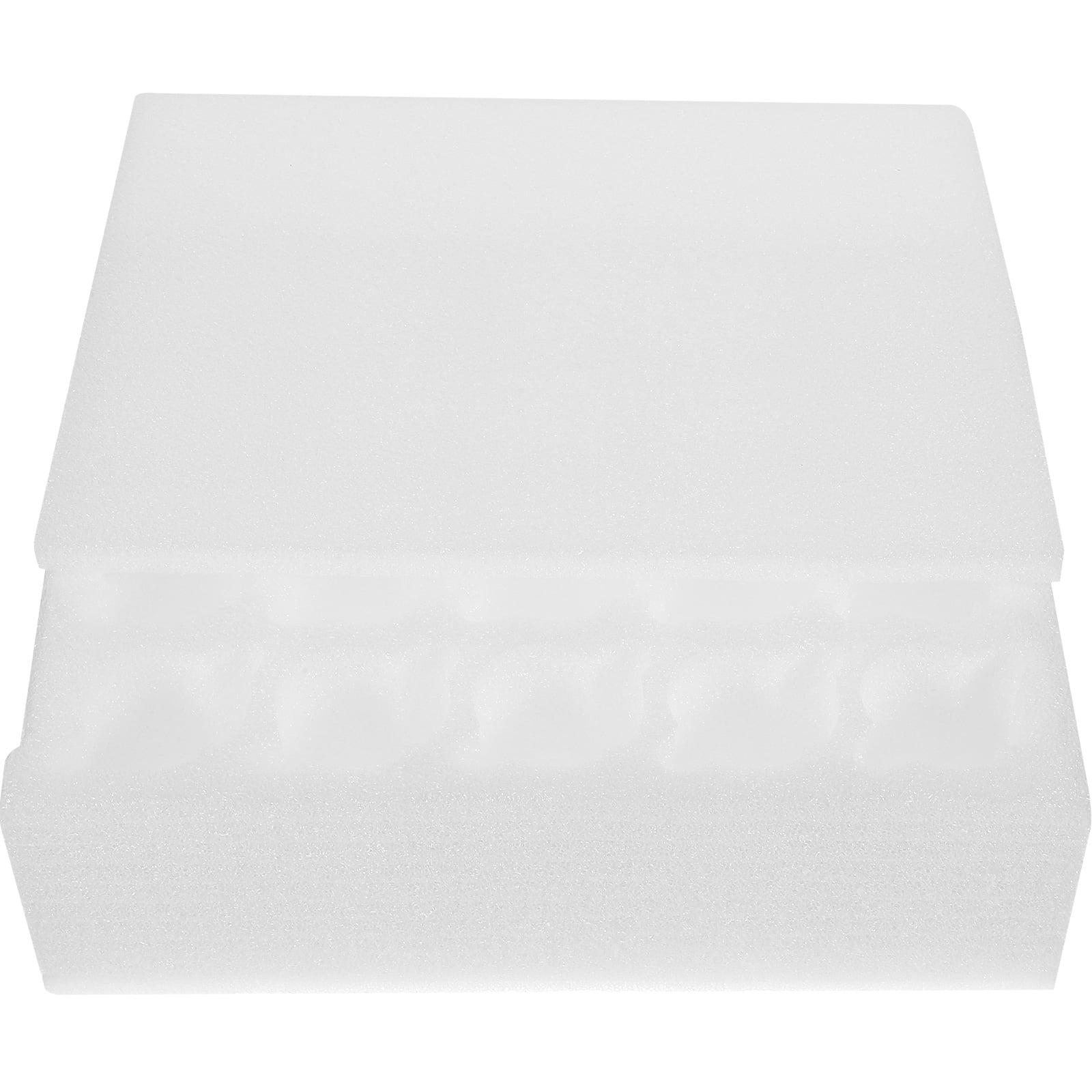 Axio Foam Egg Tray Chicken Egg Storage Tray Duck Egg Organizer Shipping