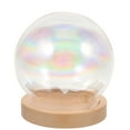 Axio Glass Dome with Wood Base Doll Glass Cover Eternal Flower Glass