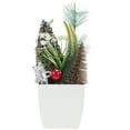 Axio Xmas Fake Plant Adornment Delicate Artificial Plant Decor Desktop