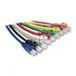 Axiom Cat6 550 MHz Snagless Patch Cable - patch cable - 50 ft - red