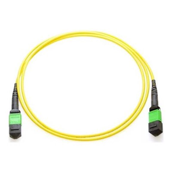 Axiom - Network cable - TAA Compliant - MTP/MPO single-mode (F) to MTP/MPO single-mode (F) - 30 m - 30 m - fiber optic - 9 / 125 micron - OFNP - plenum, crossover - yellow