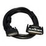 Axiom SCSI external cable - 6 ft