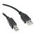 thumbnail image 1 of Axiom USB cable - 6 ft, 1 of 1