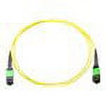 Axiom network cable - 13 ft - yellow