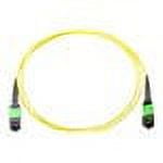 Axiom network cable - 6.6 ft - yellow