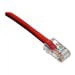 Axiom patch cable - 50 ft - red
