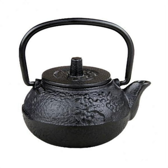 Axioma 2X Cast Iron Pot Cast Iron Kettle Iron Tea Pot Iron Tea Kettle Table Decoration