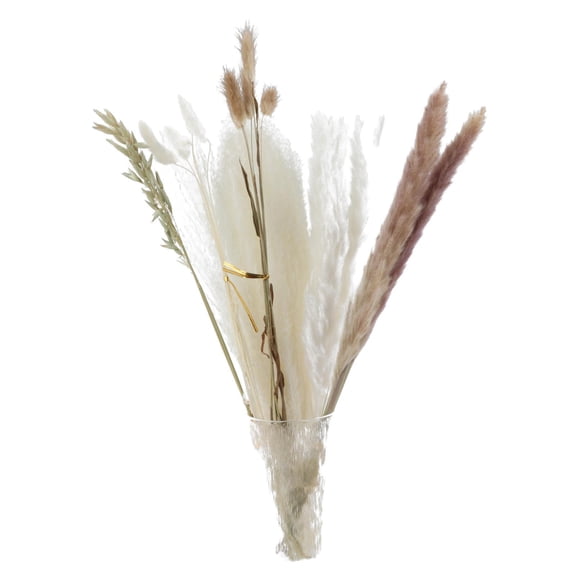 Axioma 30Pcs Real Dried Pampas Grass Bouquet Bunch Phragmites Reed Flower Floral Crafts Style D