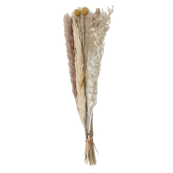 Axioma 30Pcs Real Dried Pampas Grass Bouquet Bunch Phragmites Reed Flower Floral Crafts Style I