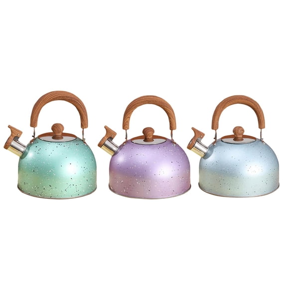 Axioma 3L Whistle Tea Kettle for Top for Boiling Water Source 3L Whistle Tea Kettle for