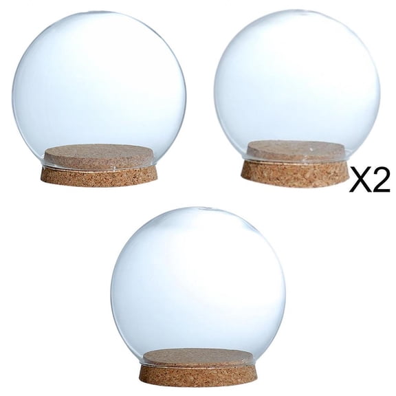 Axioma 4 Pieces Glass Dome Bell Jar Dry Flowers Fairy Lights Artwork Tabletop Decor