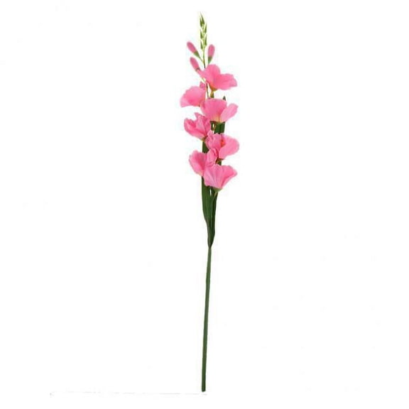 Axioma 5x Gladiolus Flowers Plants F/ Wedding Christmas Bar Ornaments Pink 5 Pcs