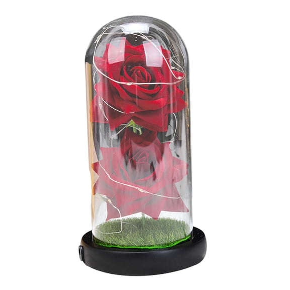 Axioma Artificialled Eternal Flower in Mothers Day Girlfriend Boyfriend Valentine'S Day red
