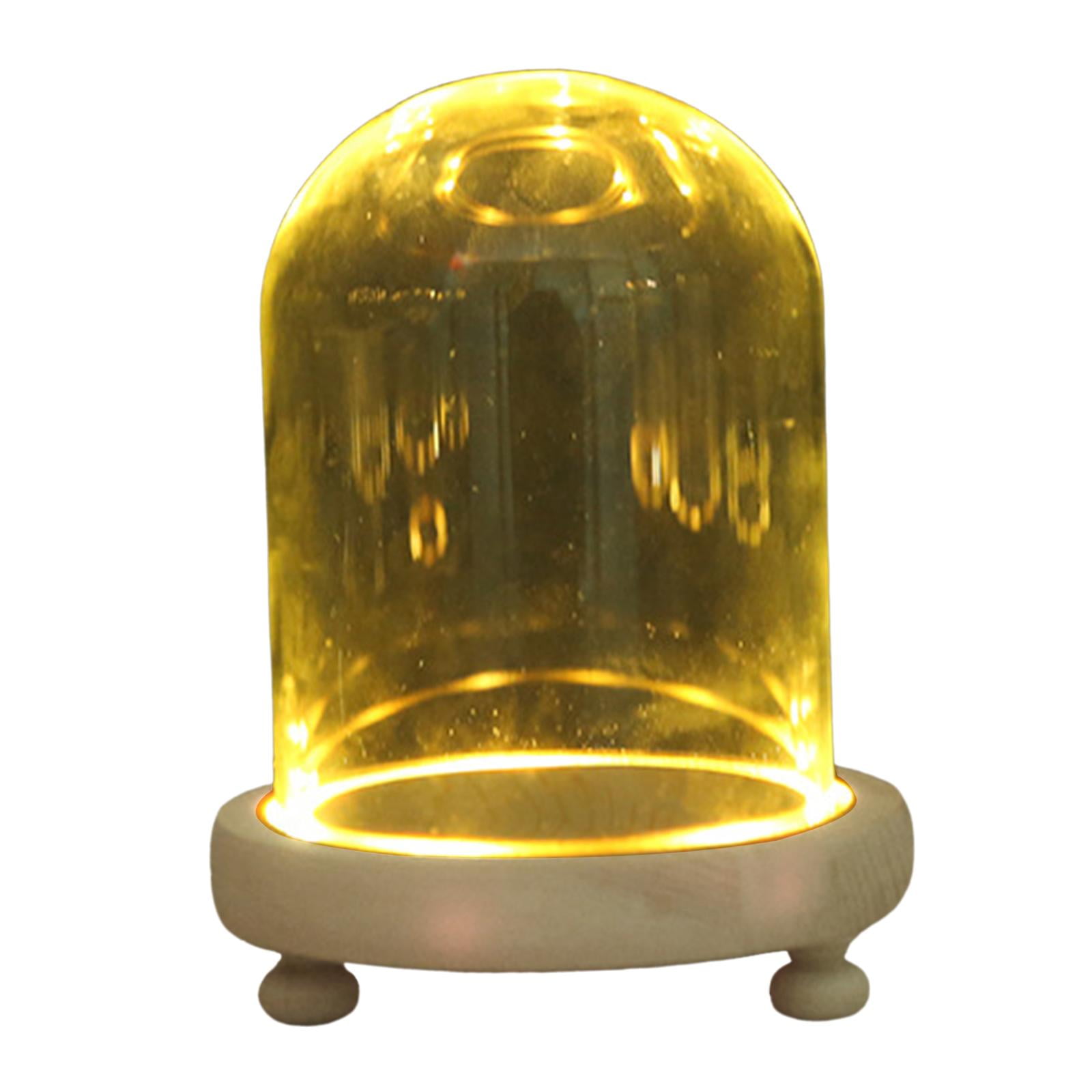 Axioma Display with Base Decor Bell Jar Tabletop Decor Collectibles ...