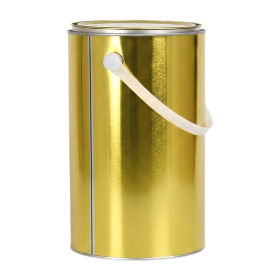 Axioma Empty Paint Can Metal Paint Bucket Sturdy Multifunctional Rustproof Iron Paints Container with Lid for DIY Art Supply Varnish 6L