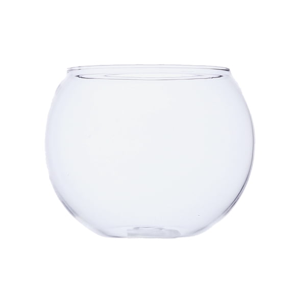 Axioma Round Clear Vase Sphere Fish Tank Bowl Air Planter DIY Micro Landscape Terrarium