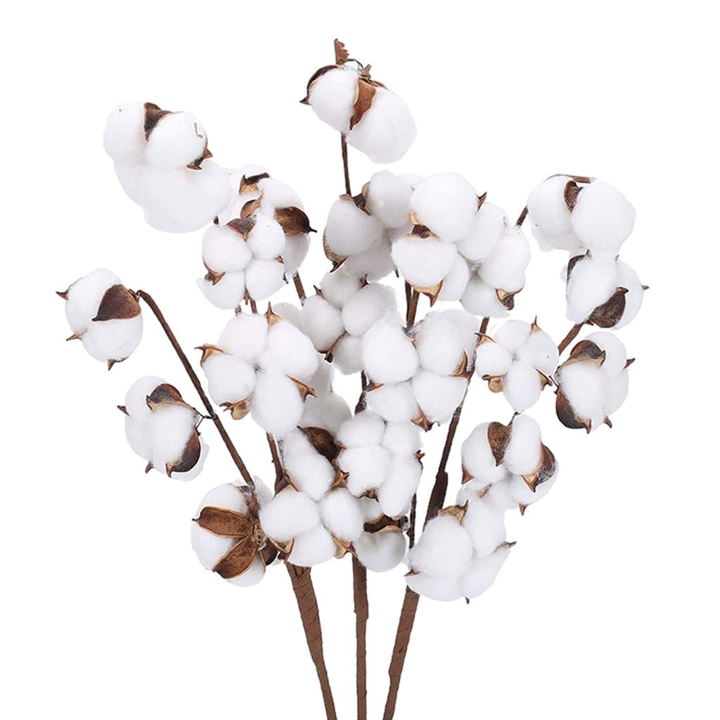 Axioma tishita 40cm Natural Dried Cotton Artificial Flower Floral Arrangement Fillers 7 Bolls 6pcs