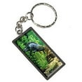 thumbnail image 1 of Axoloti Mexican Salamander Water Monster Keychain Key Chain Ring, 1 of 1