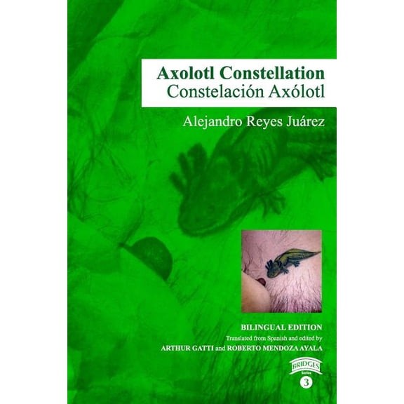 Axolotl Constellation, Vol.3 Paperback 0998235539 9780998235530 Alejandro Reyes Juarez