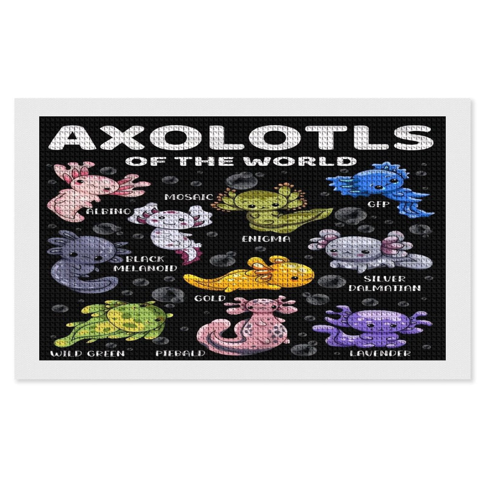Axolotl Diamond Painting Horizontal (Square Diamond) (Canvas), A Craft For Beginners, Suitable As A Gift Or Home Wall Decoration 12"x20"