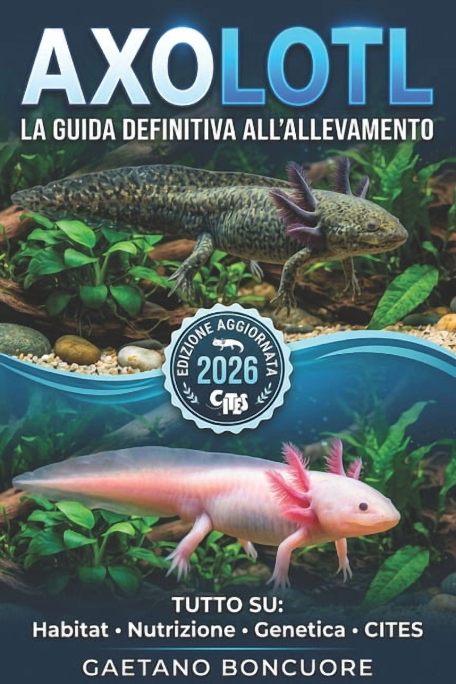 Axolotl: La Guida Definitiva All'allevamento: Tutto Quello Che Devi Sapere: Allestimento, Nutrizione, Riproduzione E Leg, (Paperback)