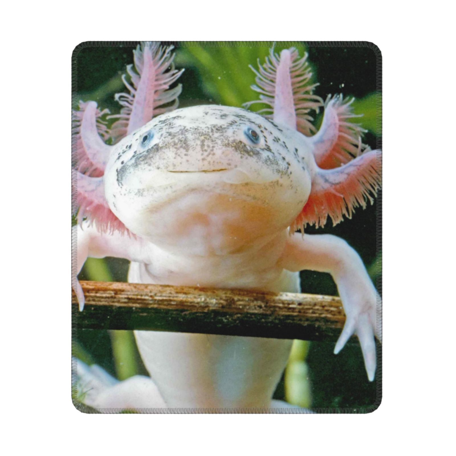 Axolotl, Mouse Pad, NonSlip Rubber Base Mouse Pad,Waterproof Mouse Mat