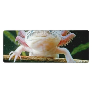 Axolotl Mousepad Large Mouse Pad Desk Pad Computer Keyboard Mouse Mat With Non Slip Rubber Base 11.8" x 31.5"