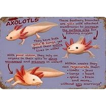 Axolotls Educational Diamond Painting Kits For Adults Round Full Drill Diamond Art Kits 5d Diy Paint With Diamonds Crafts For Home Wall Decoration Gifts 12x12 Inch