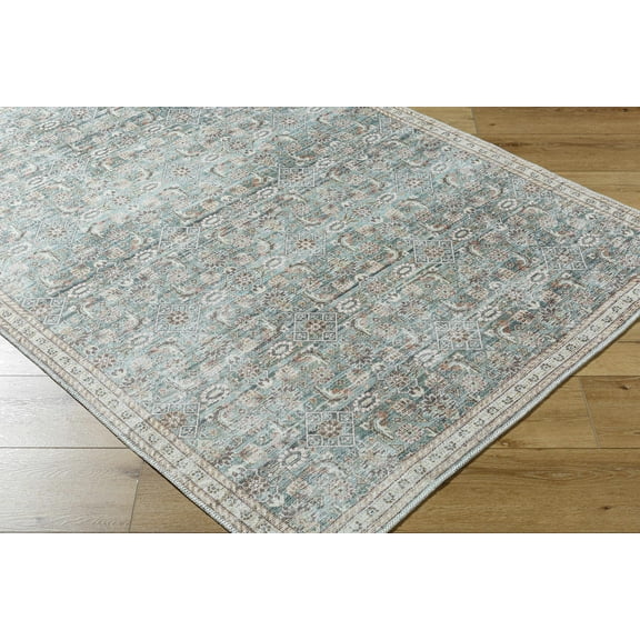 Ayanna Traditional Area Rug - Pale Blue, Teal, Cream - 2' x 2'11"