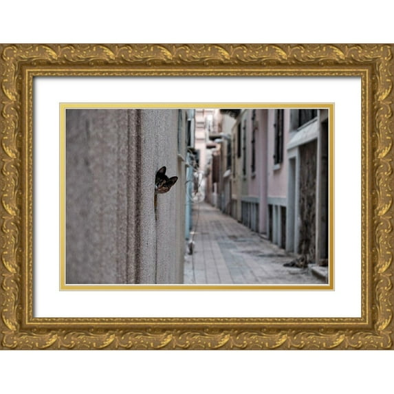 Ayer, Ali 18x13 Gold Ornate Wood Framed with Double Matting Museum Art Print Titled - Dantel Street Cat
