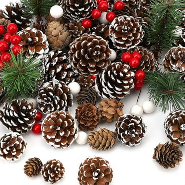 Ayieyill 115Pcs Christmas Pine Cones, Mixced Snowflake Ornaments and Berry Pine Branch Set