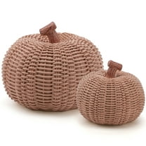 Ayieyill 2pcs Resin Pumpkin Figurines with Woven Texture Fall Decor Autumn Decor Thanksgiving Decorations for Home
