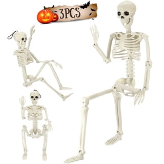 Ayieyill Halloween Skeleton Decorations, 3pcs Posable Skeletons for Halloween Decorations Outdoor