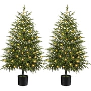 Ayieyill 4FT Norfolk Pine Christmas Tree, 2 Pack Norfolk Pine Tree with 80 LED Lights, Indoor Holiday Christmas Decorations