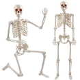 thumbnail image 1 of Ayieyill 5.4FT Halloween Skeleton Decorations, Posable Skeleton with Light-Up Red Eyes for Halloween Decor Outdoor Indoor, 1 of 9