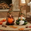 Ayieyill Fall Decorations for Home, Fall Gnomes Decoration, Wicker Gnomes Decor, Thanksgiving Decor, 2pcs