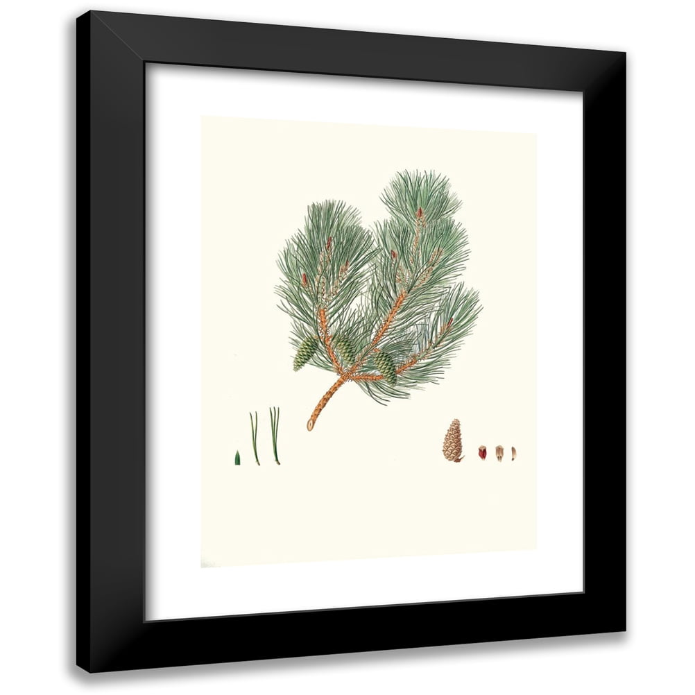 Aylmer Bourke Lambert 14x18 Black Modern Framed Museum Art Print Titled