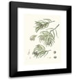 thumbnail image 1 of Aylmer Bourke Lambert 14x18 Black Modern Framed Museum Art Print Titled - Taxodium Distichum - Deciduous Cypress. (1837), 1 of 5