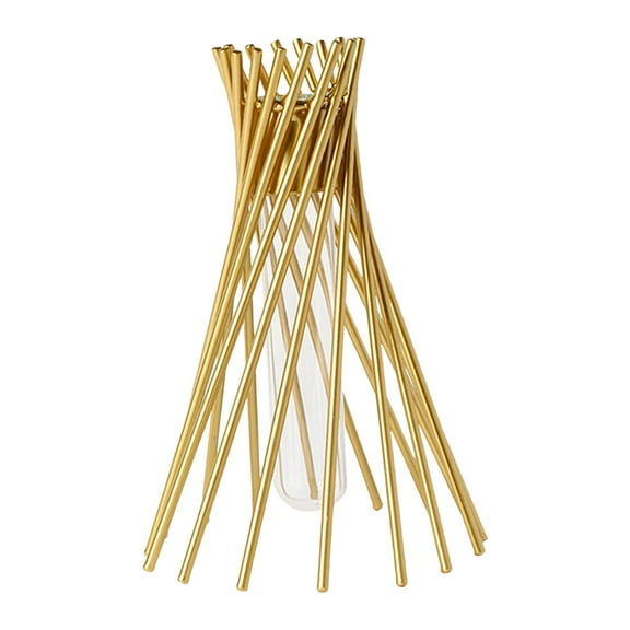 Aymzbd Air Plant Holder Airplant Display Rack Air Plant Display Frame for Wedding Gift Aureate